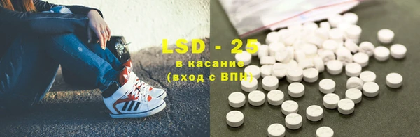 хмурый Абаза