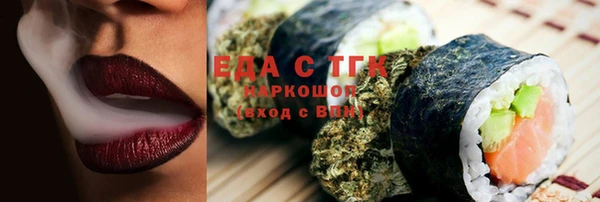 хмурый Абаза