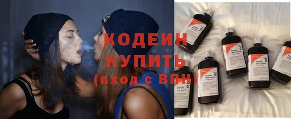 хмурый Абаза