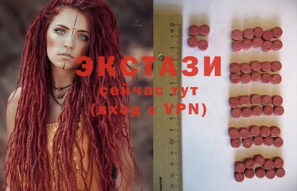 хмурый Абаза
