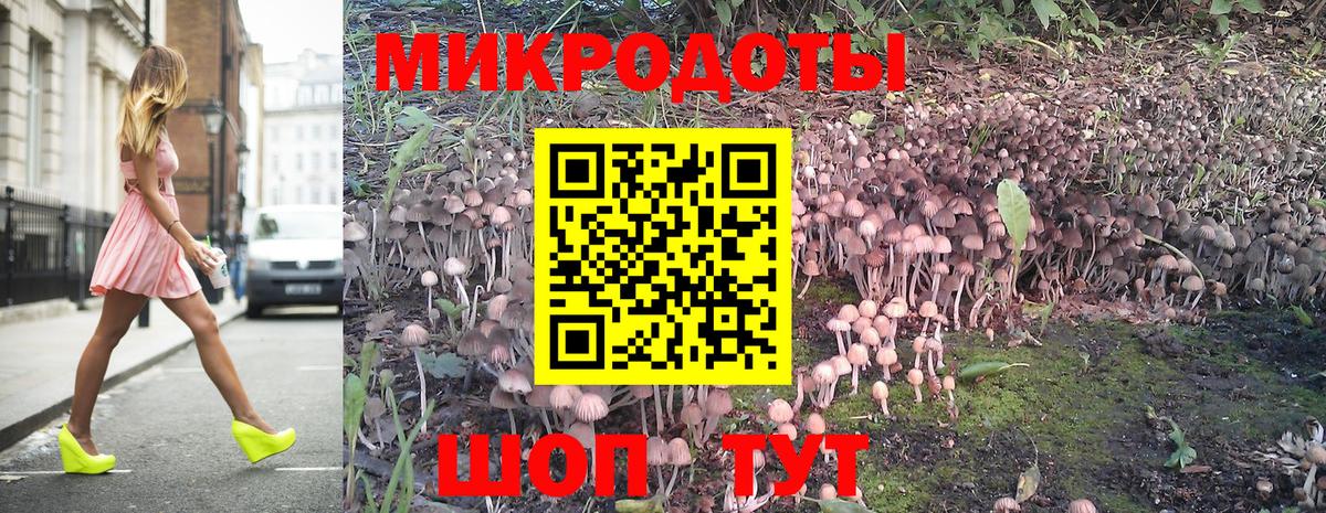 Сертолово  Псилоцибиновые грибы GOLDEN TEACHER  Вход с VPN  Псилоцибиновые грибы Cubensis 